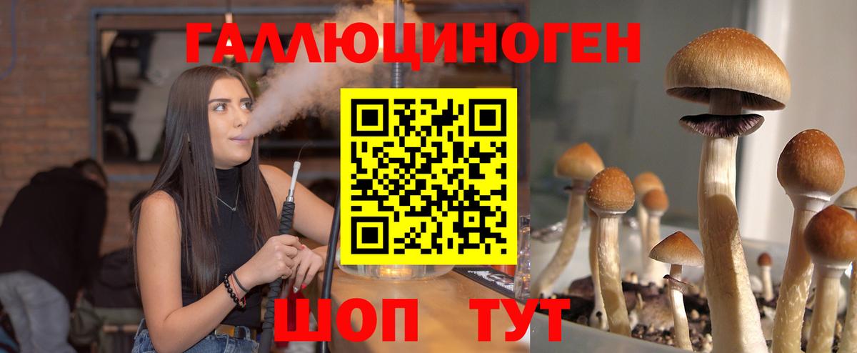 Аргун  Псилоцибиновые грибы Psilocybine cubensis  Вход с VPN 